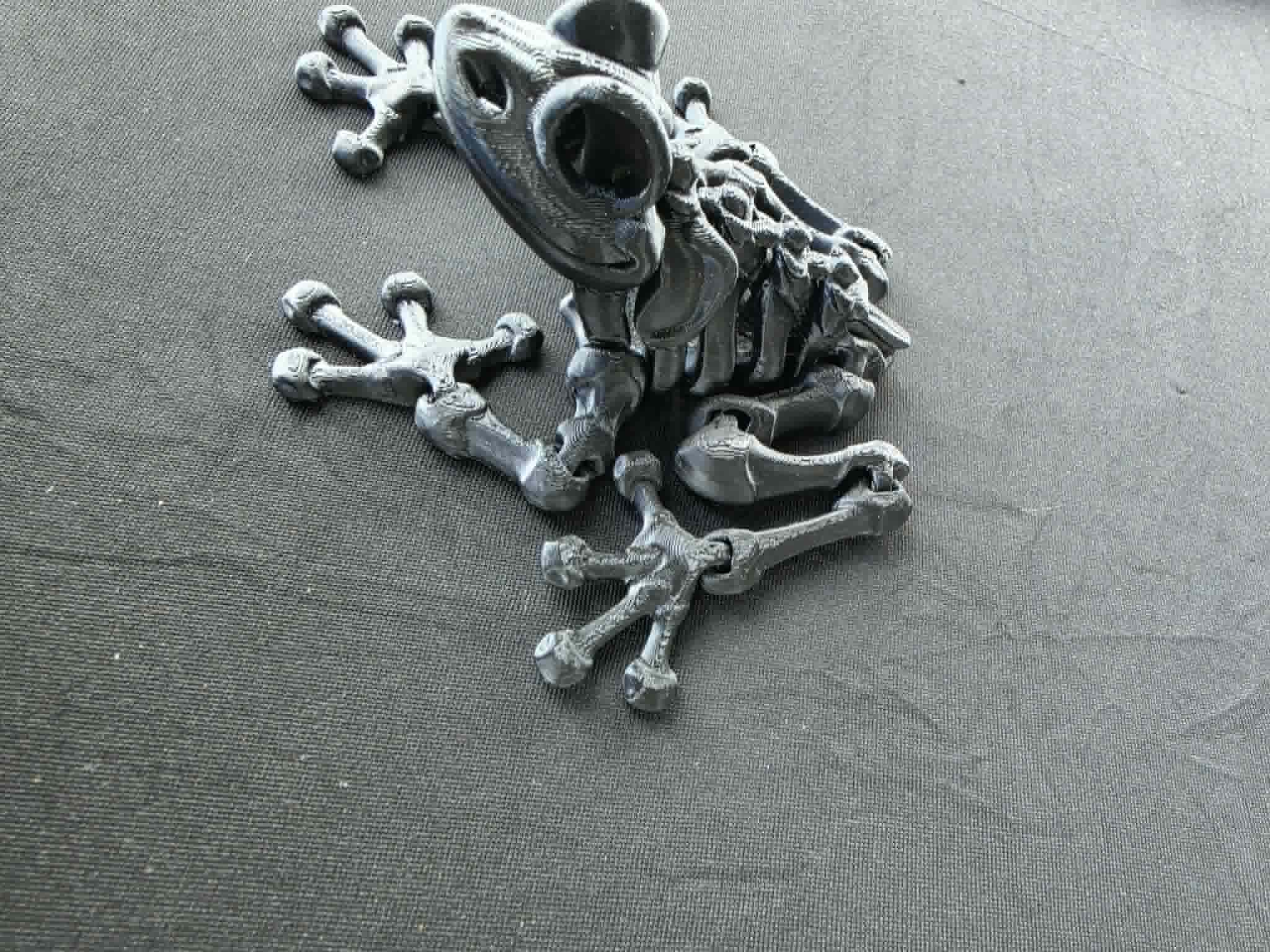 SKELETON FROG TOY