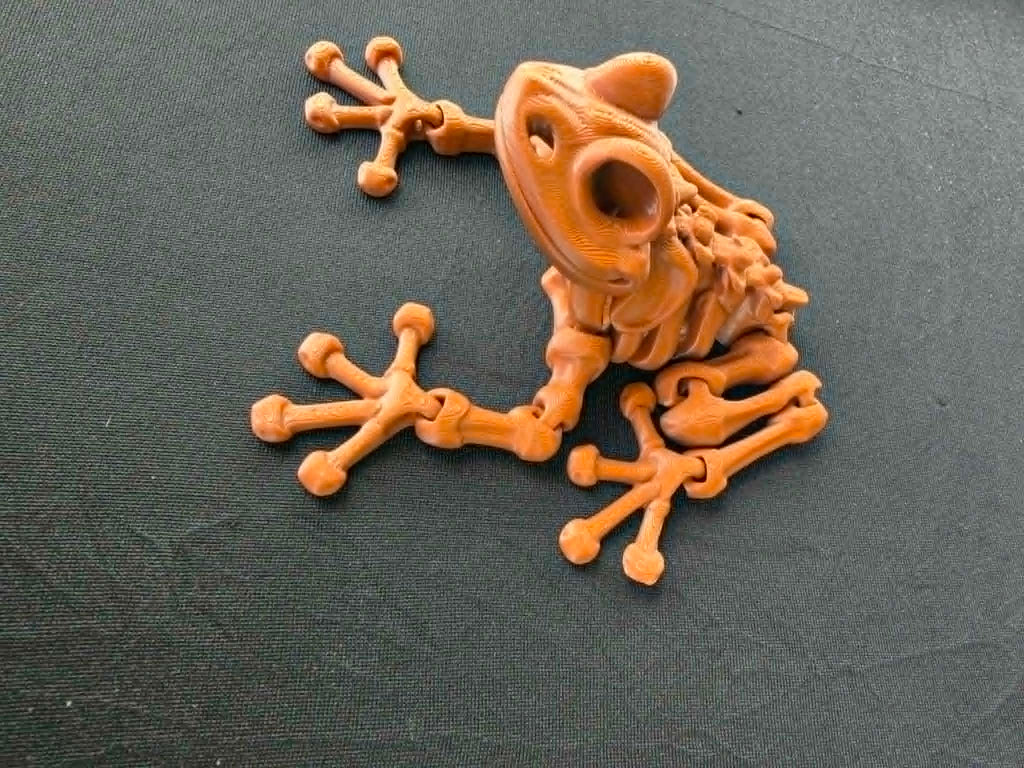 SKELETON FROG TOY