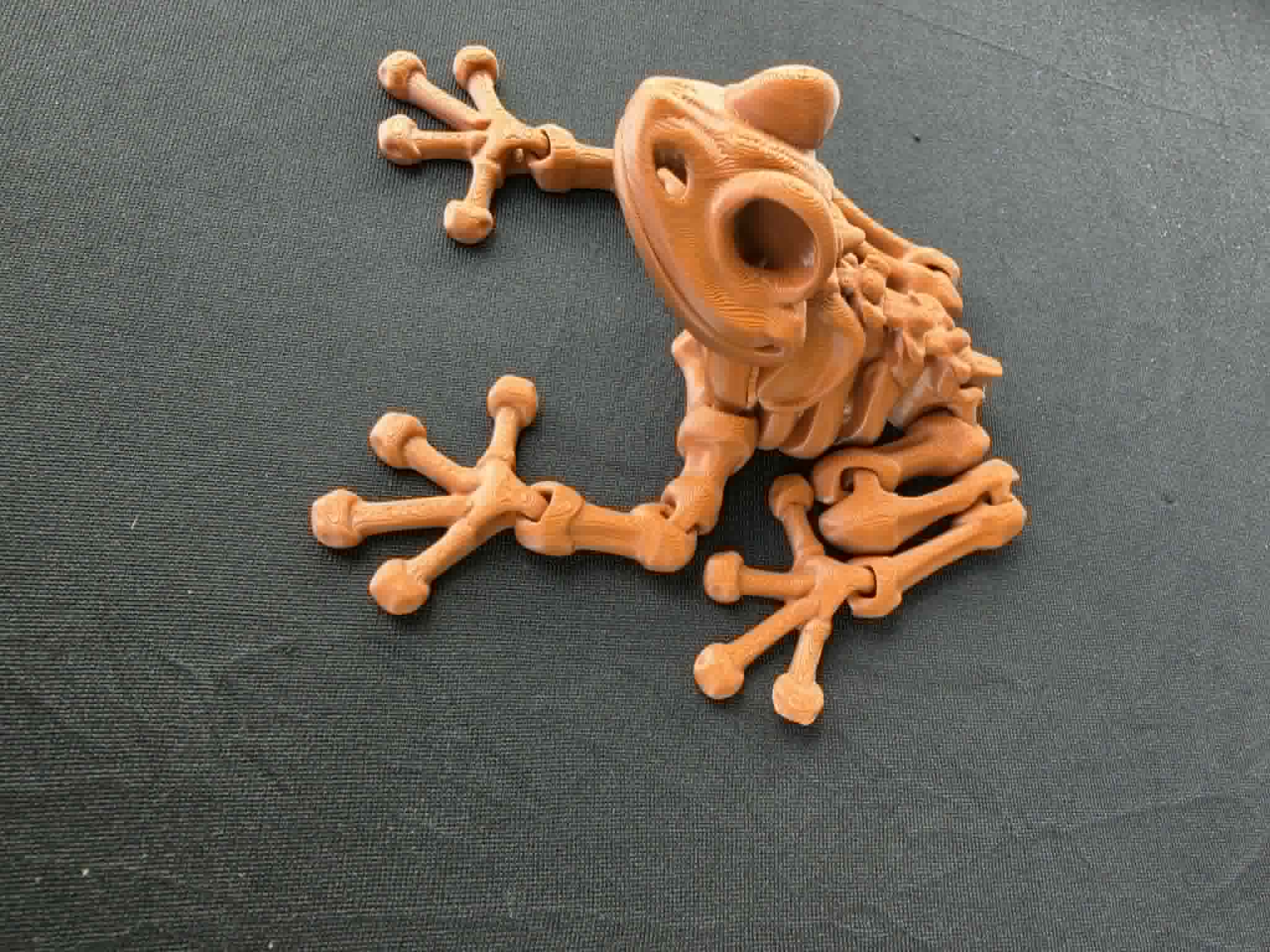 SKELETON FROG TOY