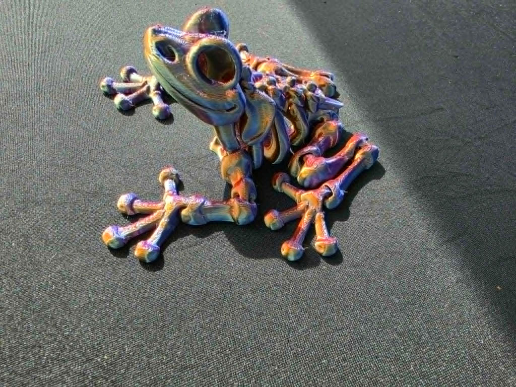 SKELETON FROG TOY