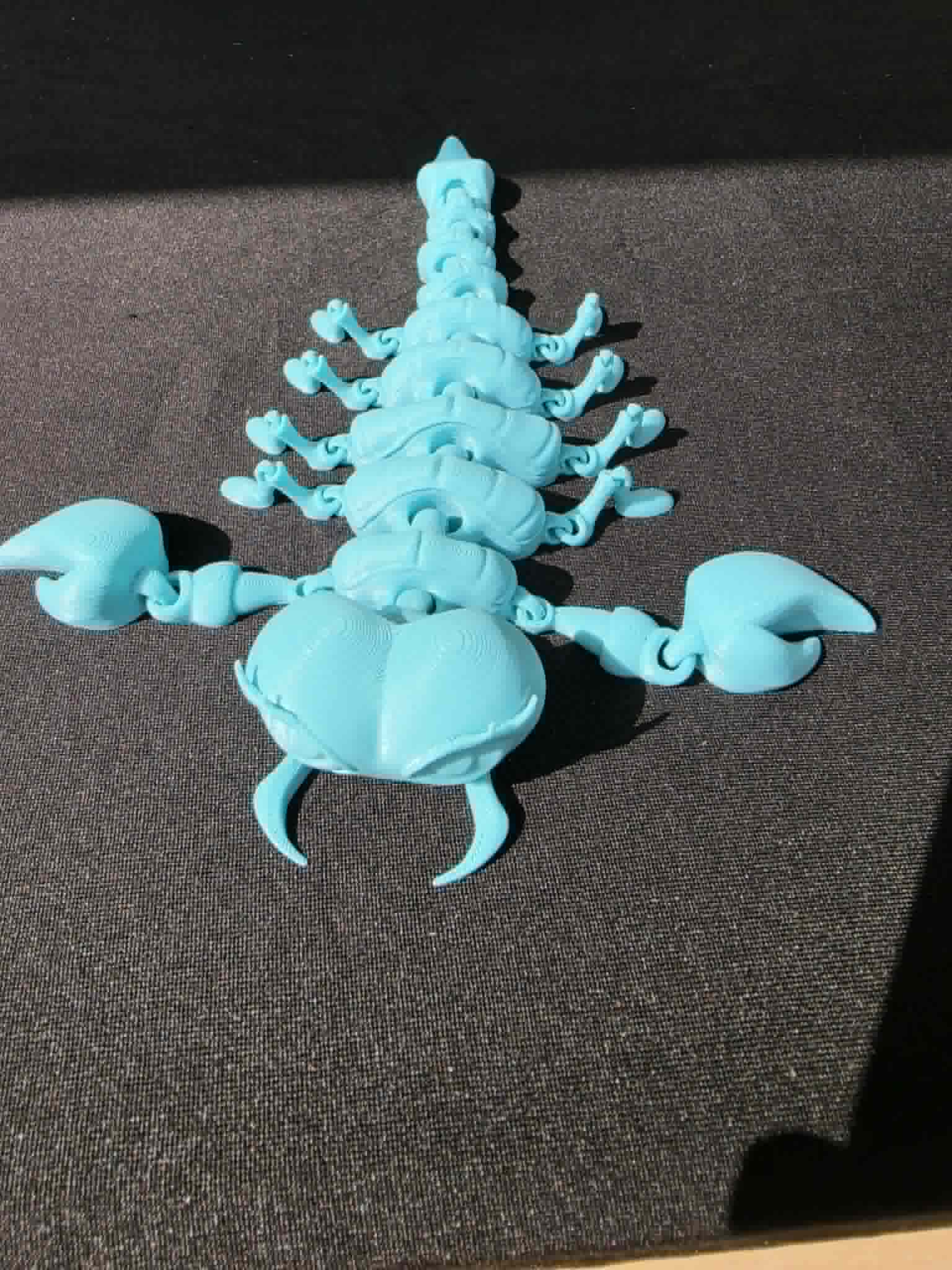 SCORPION WITH LASHES
